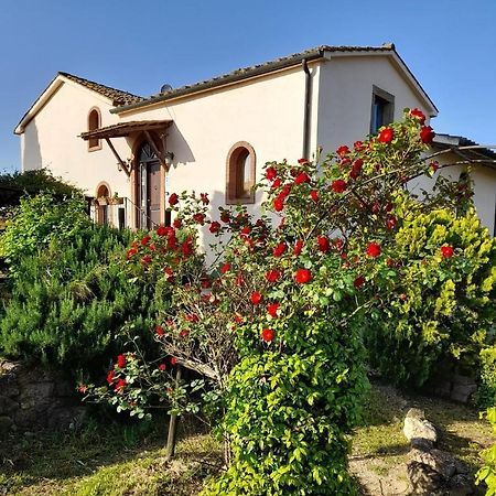 Borgo De' Muracci Ribolla Eksteriør bilde