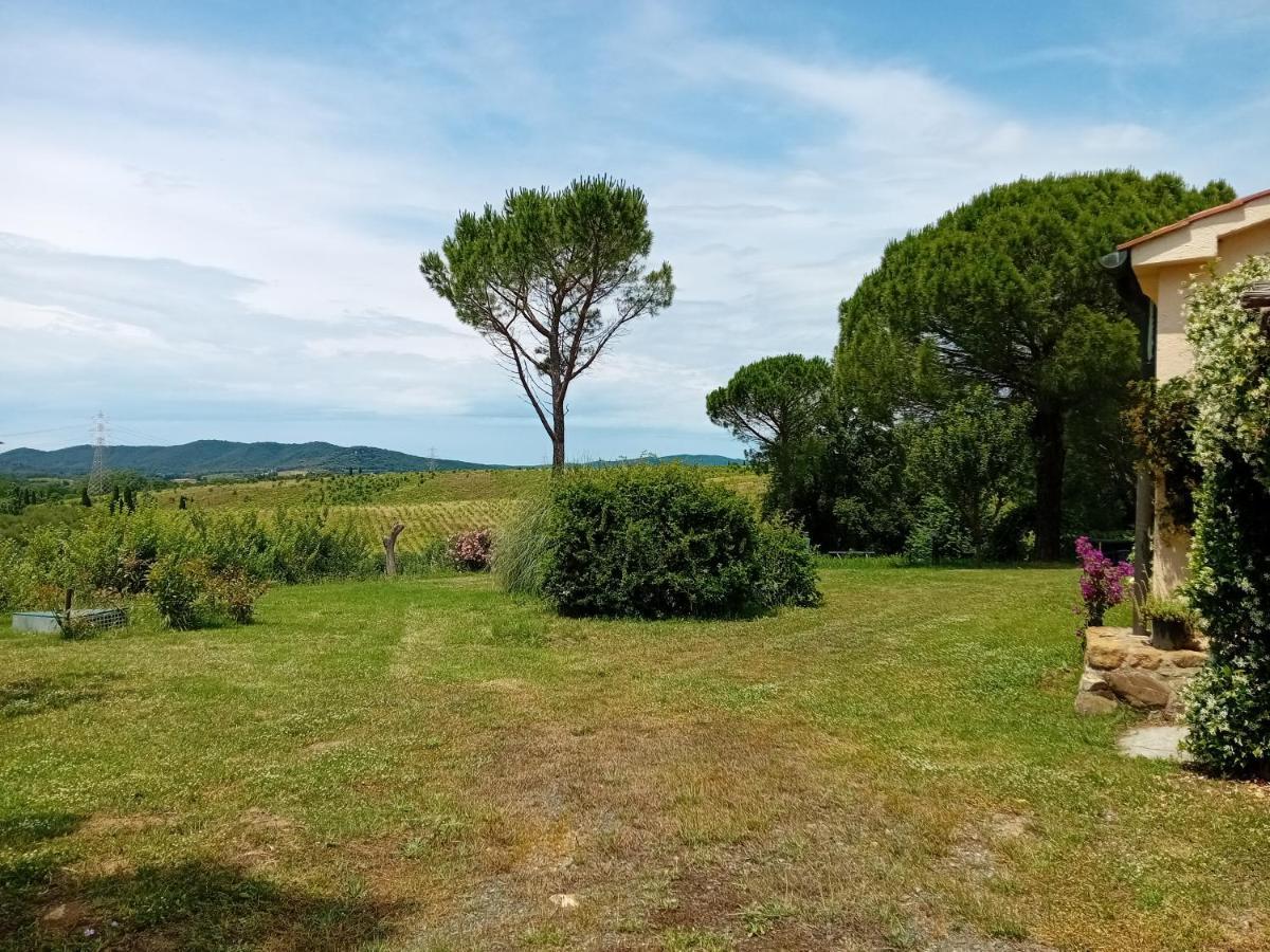 Borgo De' Muracci Ribolla Eksteriør bilde