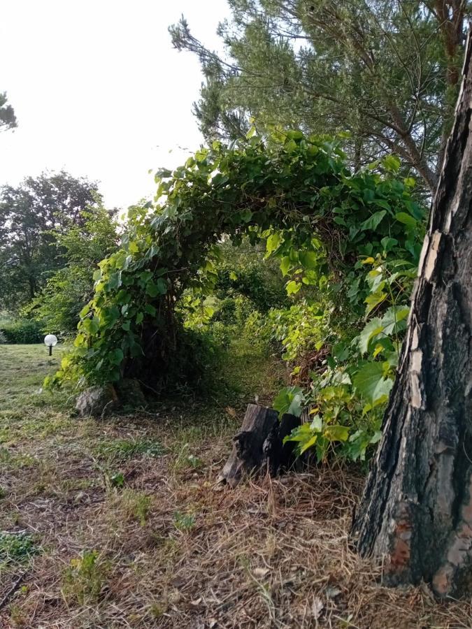 Borgo De' Muracci Ribolla Eksteriør bilde