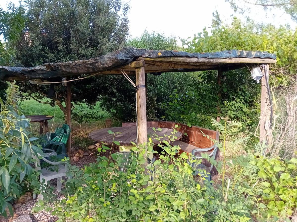 Borgo De' Muracci Ribolla Eksteriør bilde