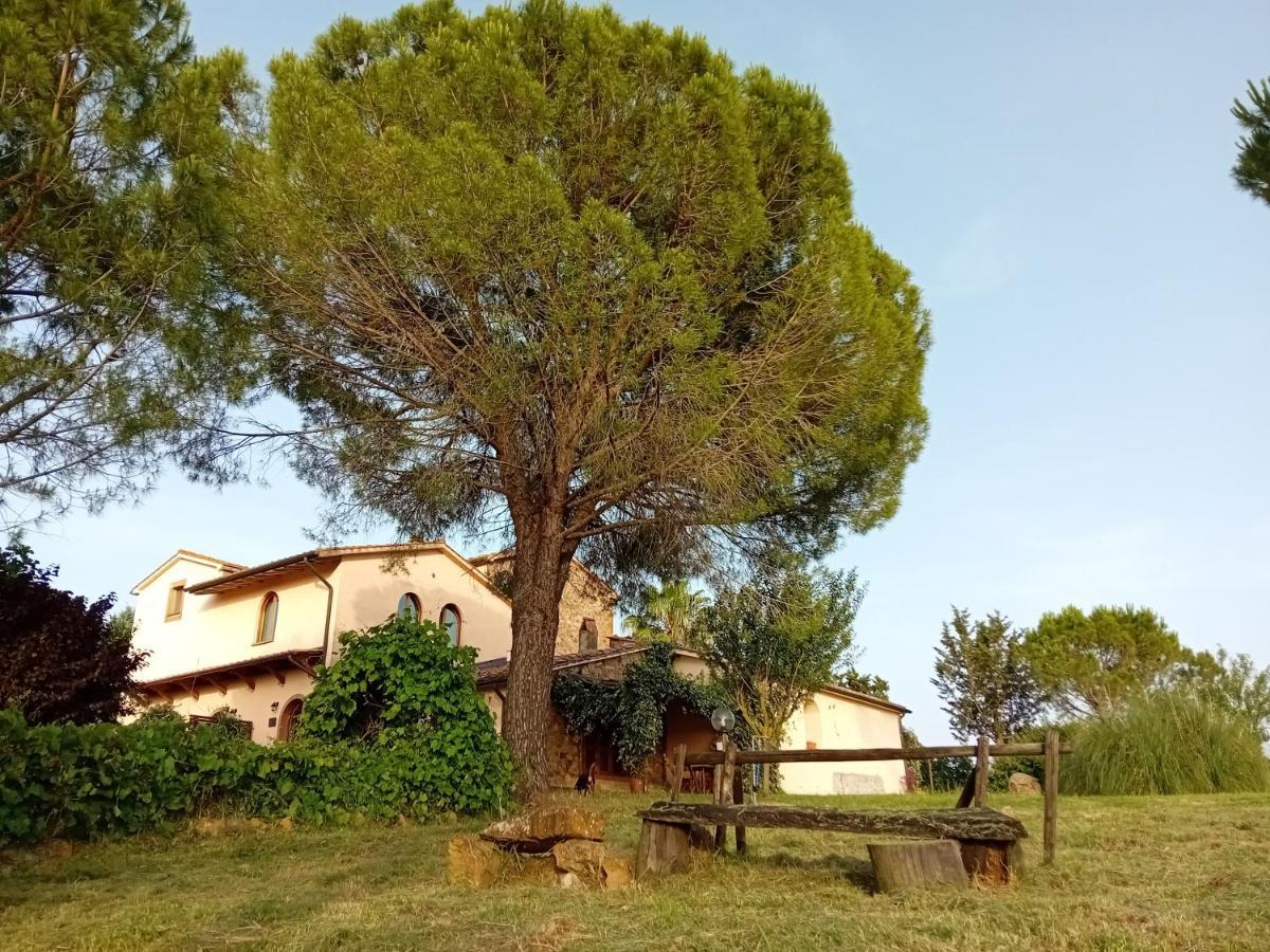 Borgo De' Muracci Ribolla Eksteriør bilde