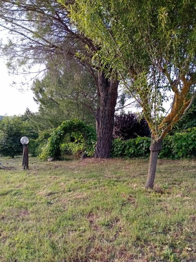 Borgo De' Muracci Ribolla Eksteriør bilde