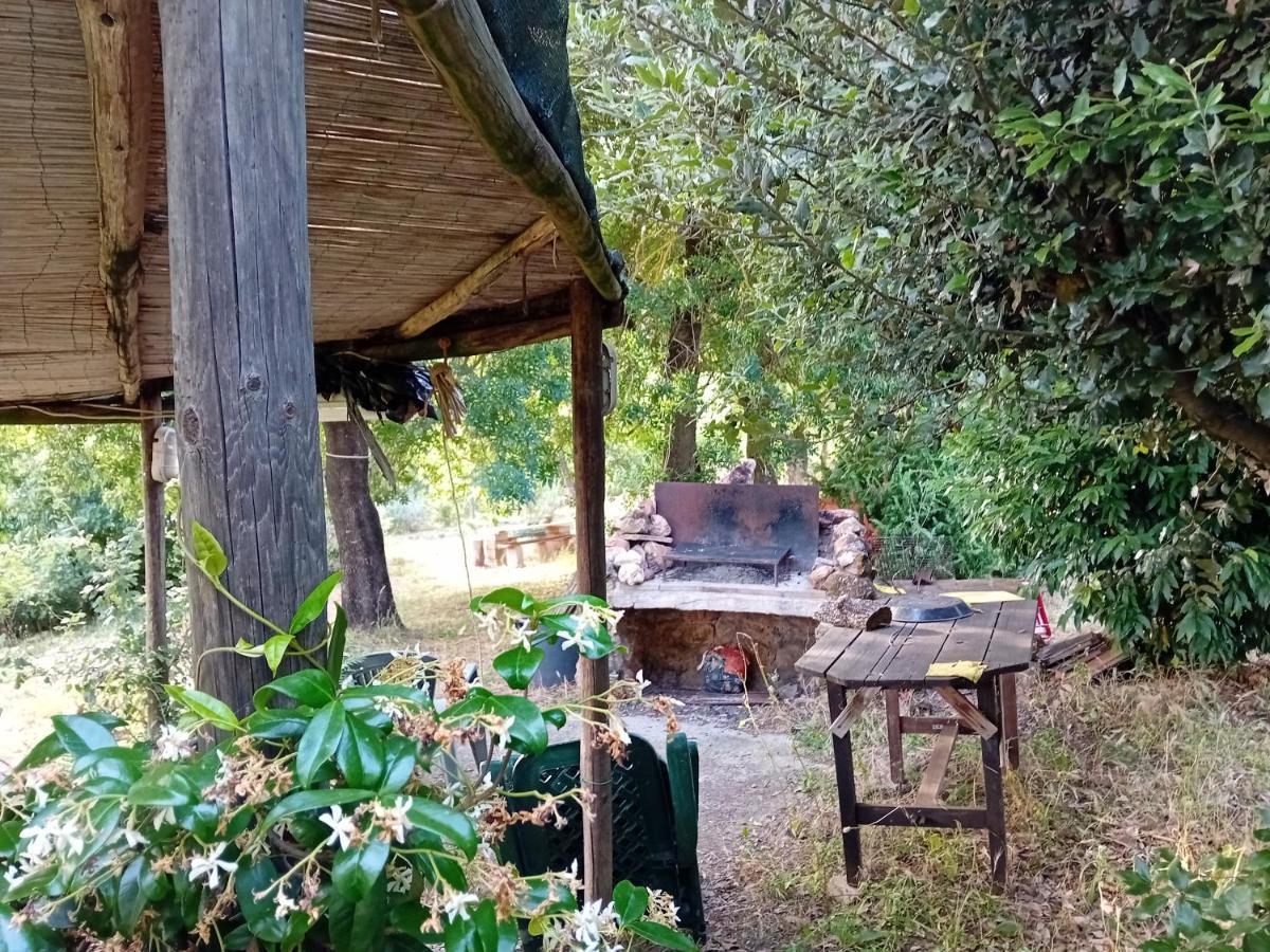 Borgo De' Muracci Ribolla Eksteriør bilde