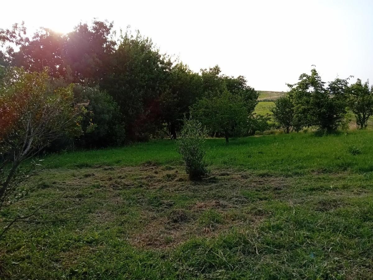 Borgo De' Muracci Ribolla Eksteriør bilde